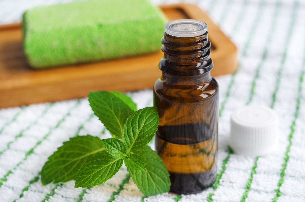 Aceite de menta  Usos y beneficios en aromaterapia