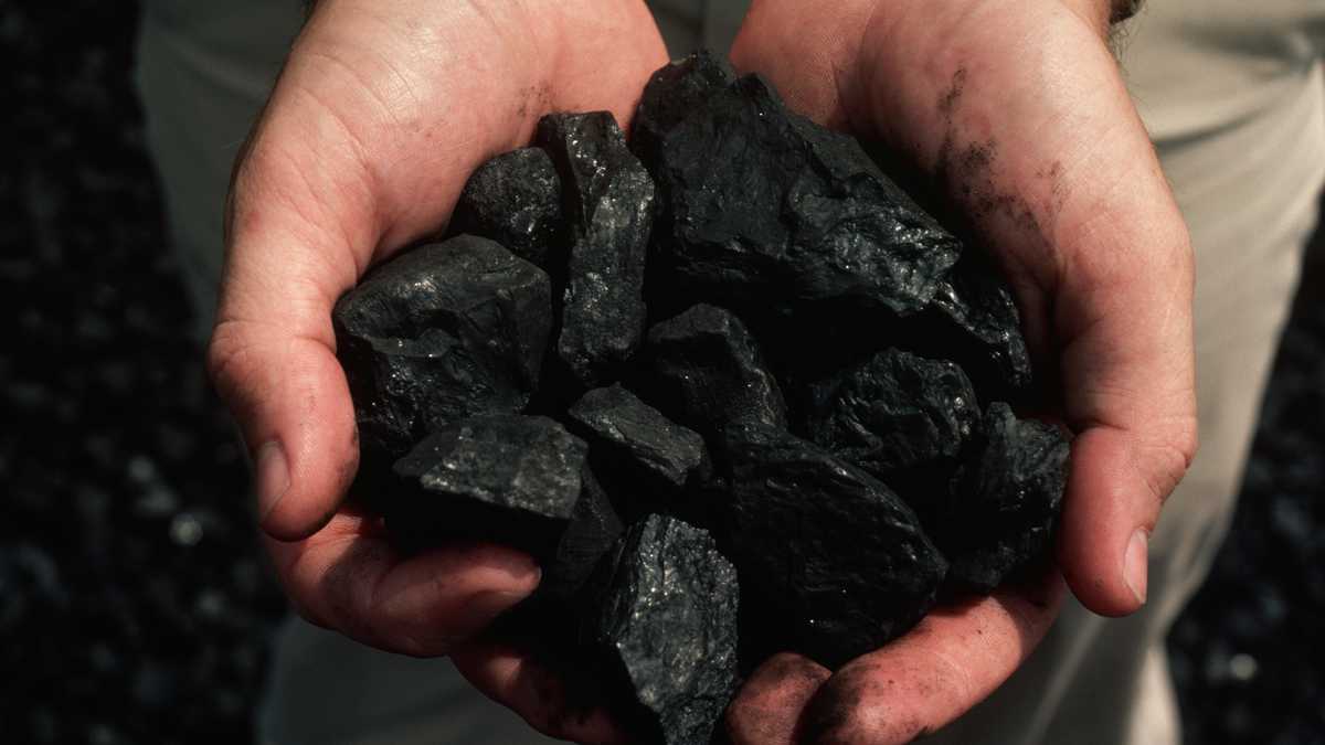 Carbón activo vegetal: ¿cuáles son sus beneficios?