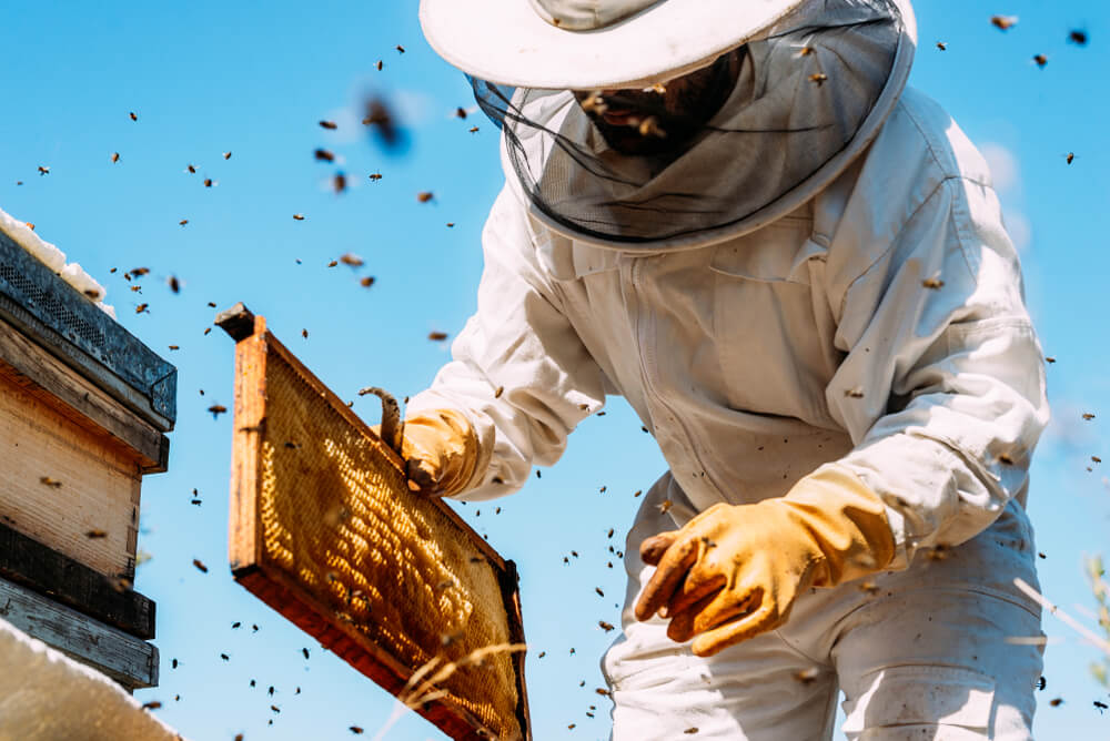 Propiedades de la cera de abeja para la piel
